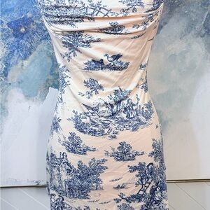 Cider Blue Toile Print Mini Dress